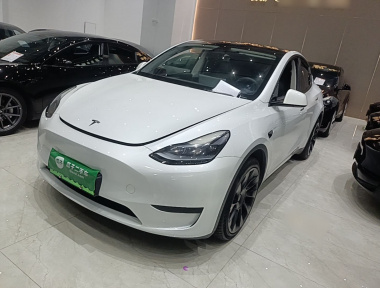 Tesla Model Y 2024 car image 