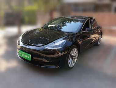 Tesla Model 3 2020 car image 