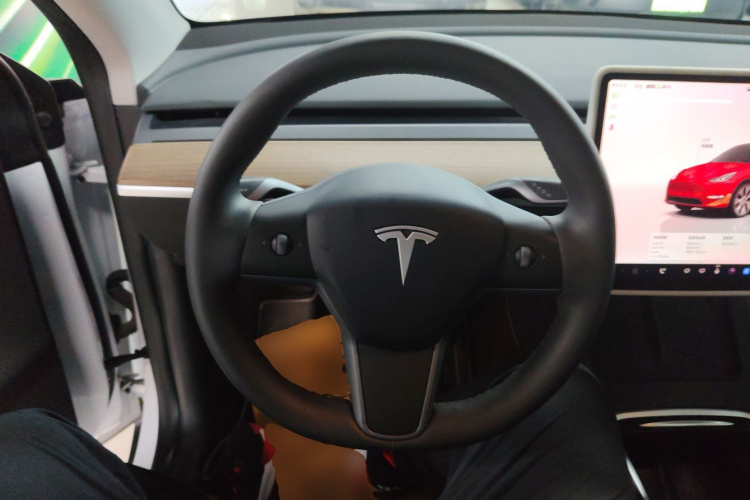 Tesla Model Y 2023 #11 Tesla Model Y 2023 car image #11