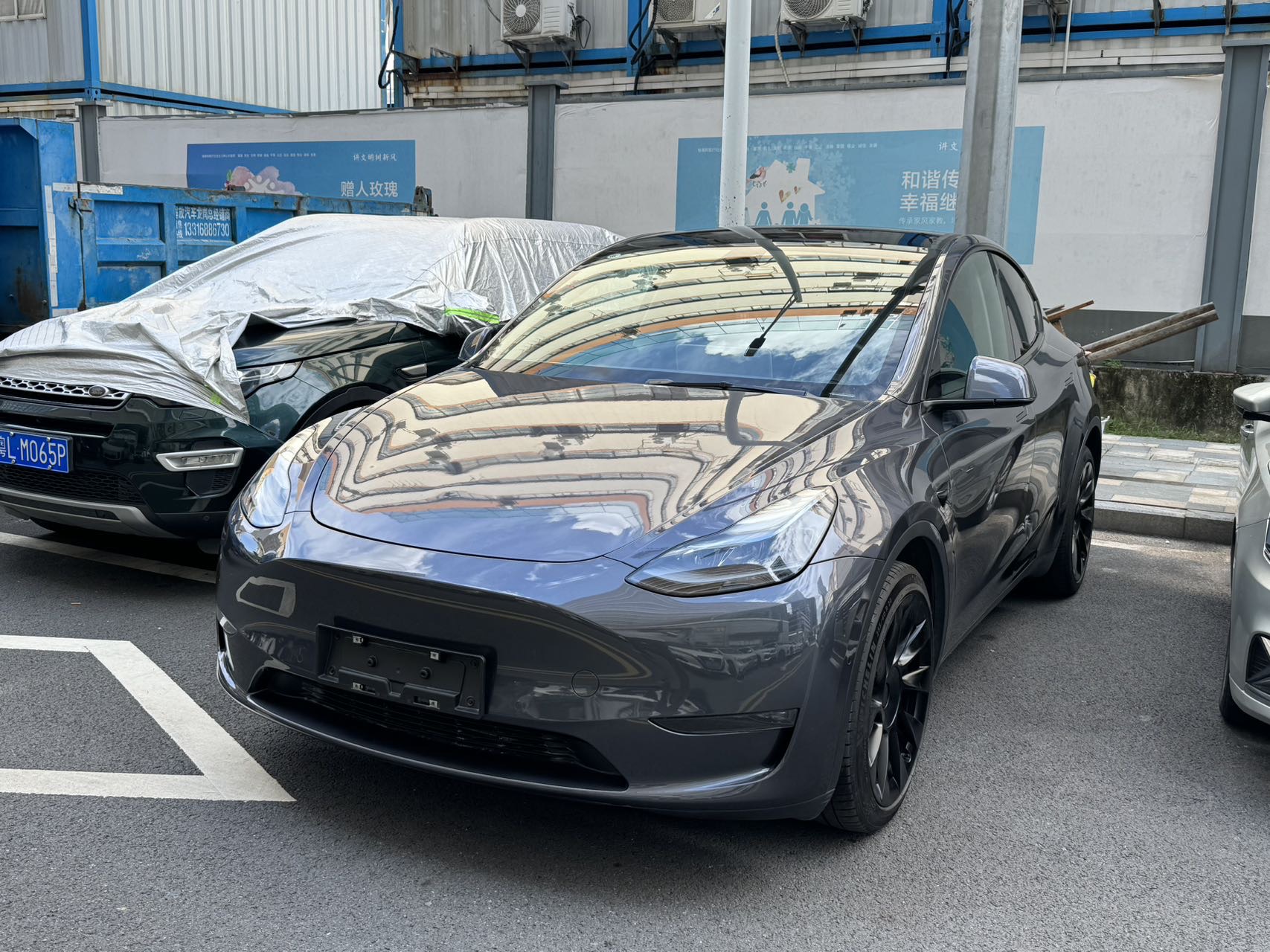 Tesla Model Y 2023 Tesla Model Y 2023 car image