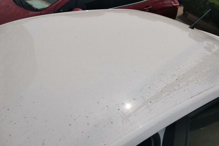 Volkswagen Santana 2020 car image #25