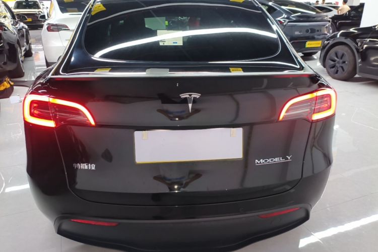 Tesla Model Y 2023 car image #6