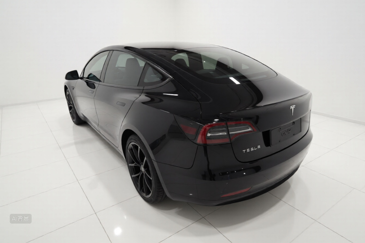 Tesla Model 3 2021 car image #5