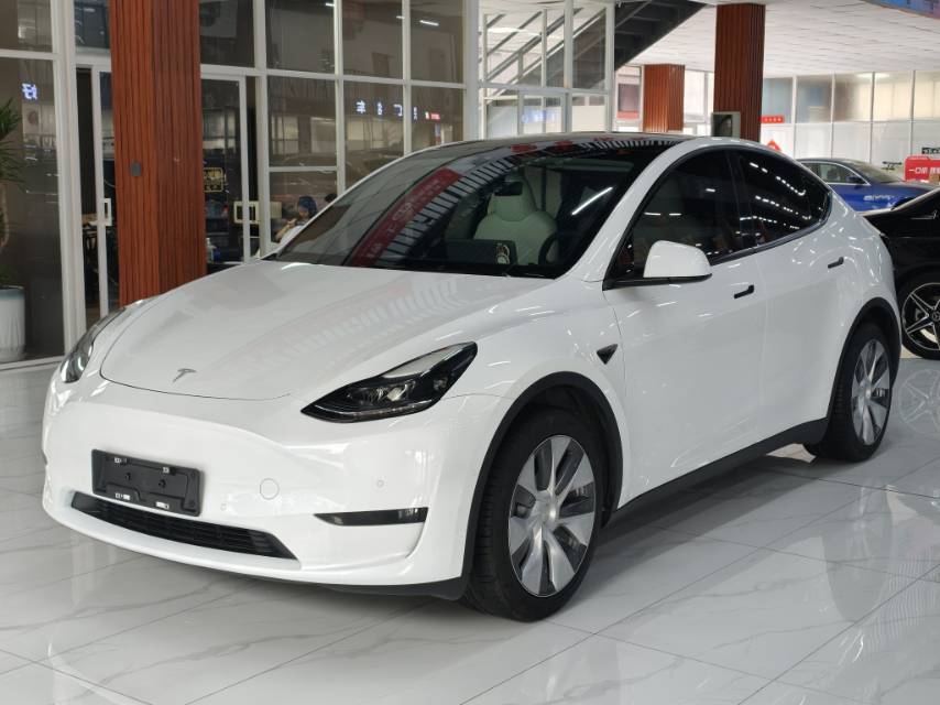 Tesla Model Y 2023 Tesla Model Y 2023 car image
