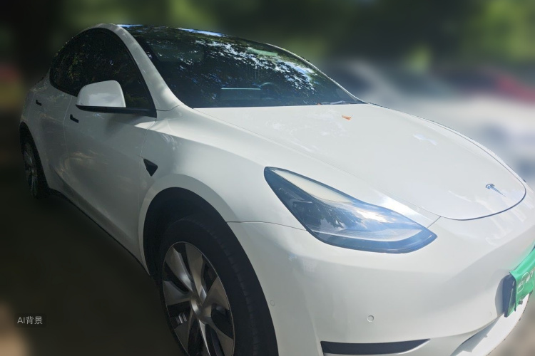 Tesla Model Y 2022 #4 Tesla Model Y 2022 car image #4