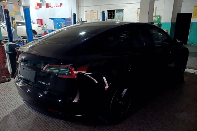 Tesla Model 3 2021 #5 Tesla Model 3 2021 car image #5