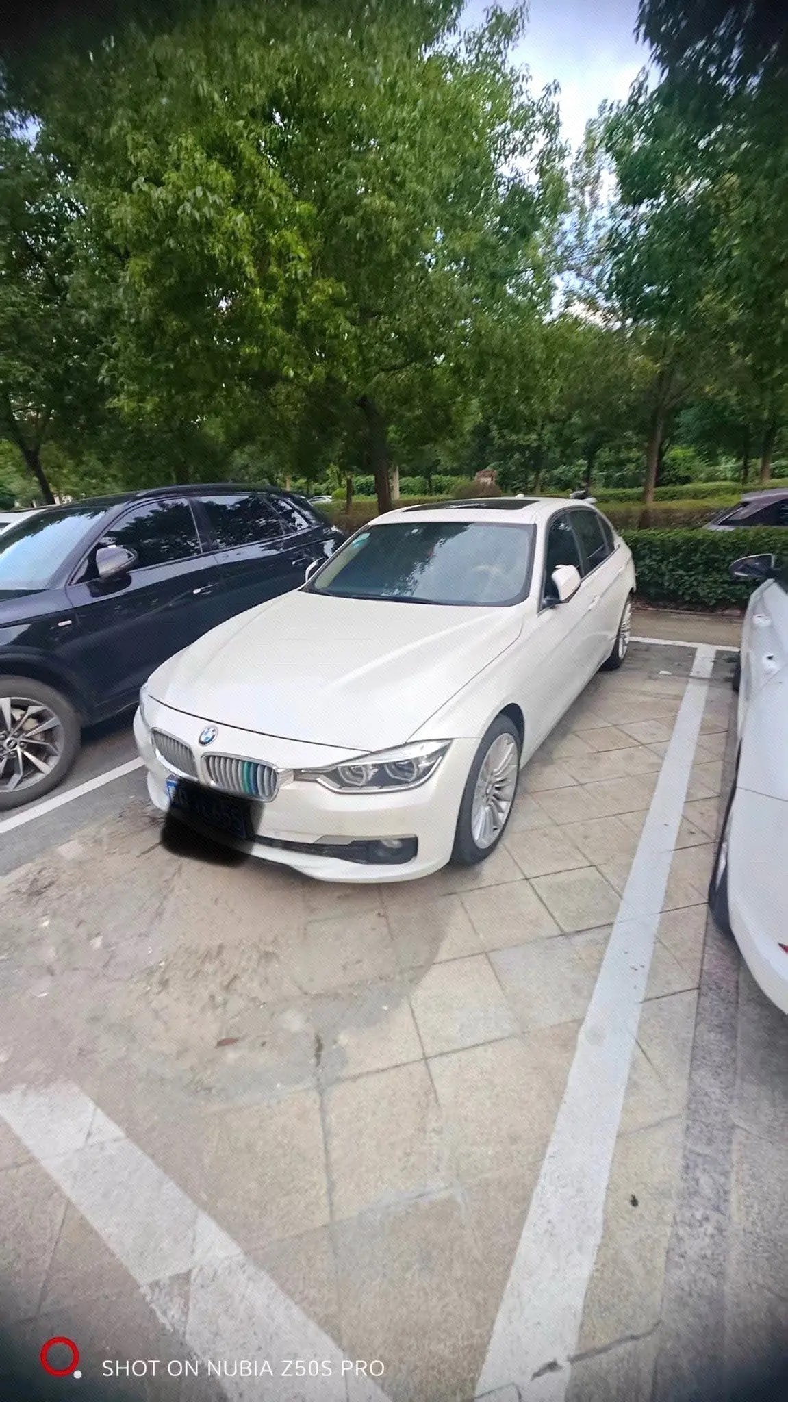 BMW 3 Series 2018 BMW 3 Series 2018 car image