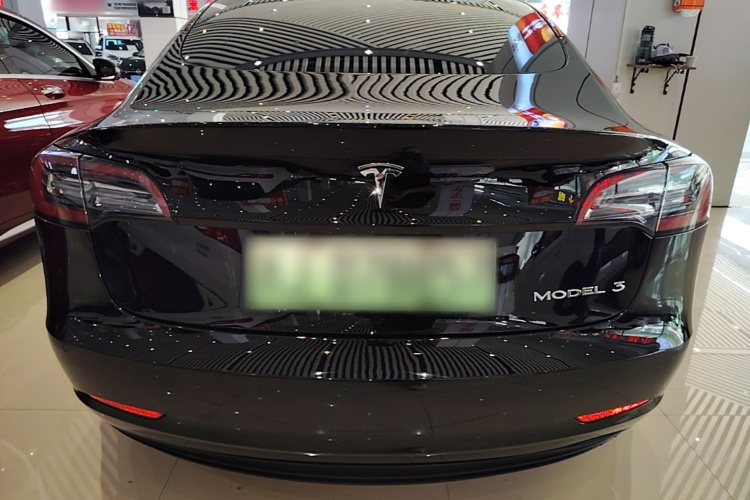 Tesla Model 3 2021 #6 Tesla Model 3 2021 car image #6