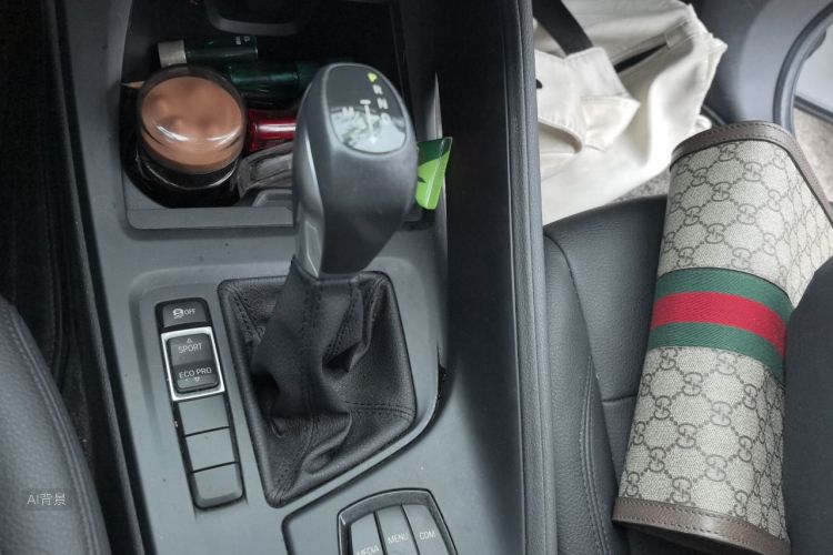 BMW X1 2018 car image #16