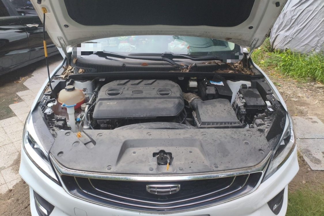 GEELY Binray 2020 #10 GEELY Binray 2020 imagem de carro #10
