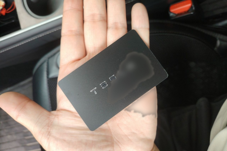 Tesla Model Y 2023 #11 Tesla Model Y 2023 car image #11