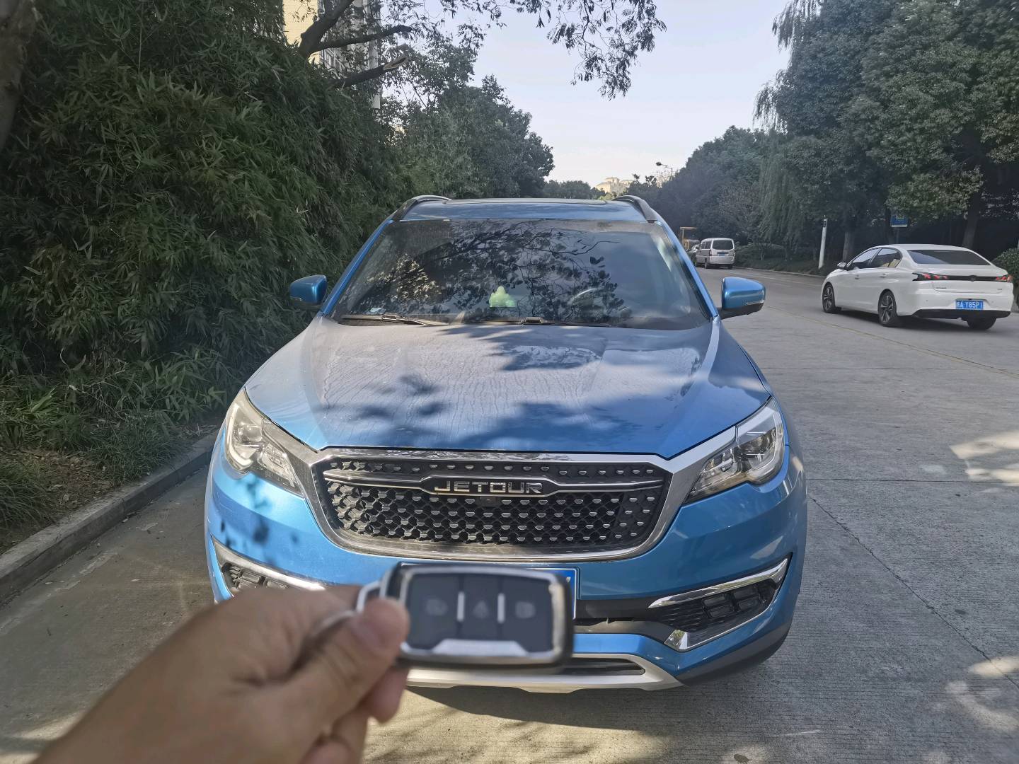 Jetour X70S 2019 car image #8