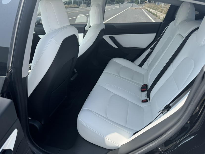 Tesla Model 3 2020 #9 Tesla Model 3 2020 immagine di auto #9