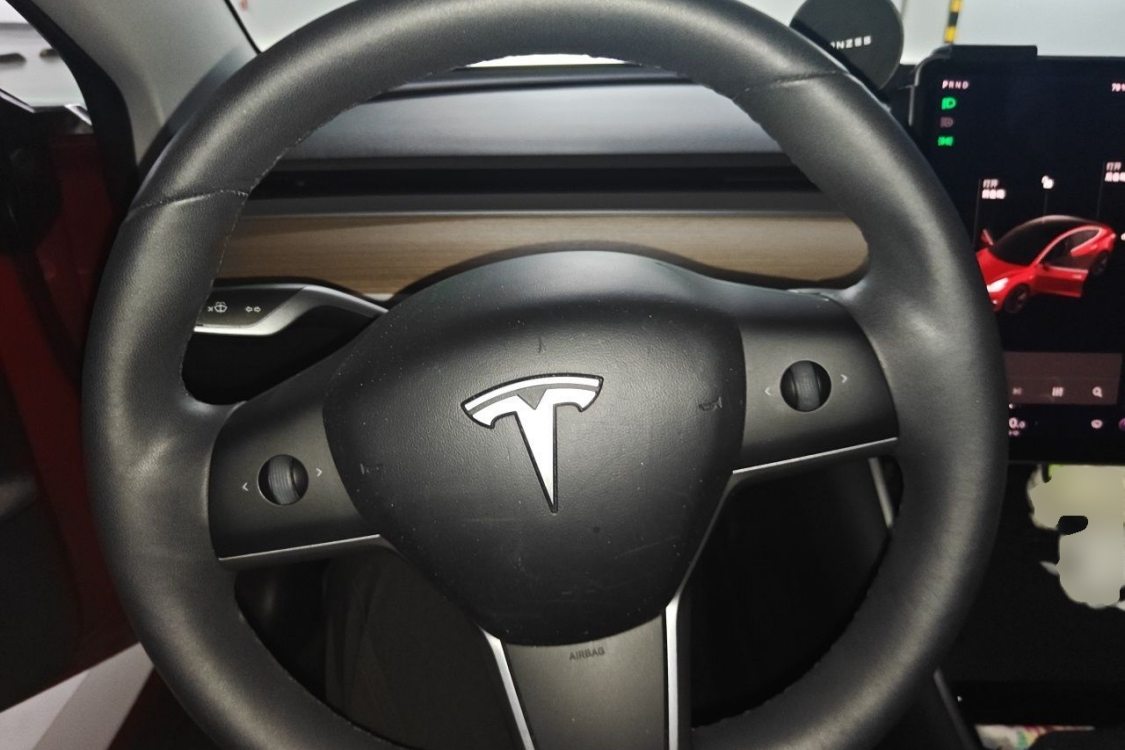 Tesla Model 3 2020 immagine di auto #22