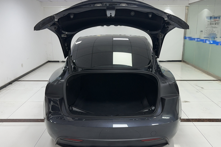 Tesla Model 3 2024 #9 Tesla Model 3 2024 car image #9