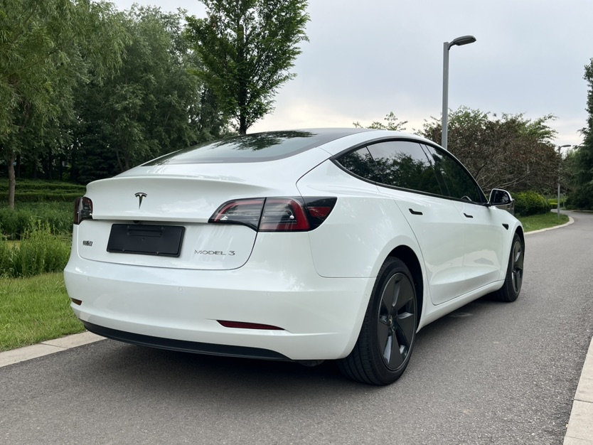 Tesla Model 3 2023 #7 Tesla Model 3 2023 car image #7