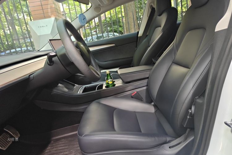 Tesla Model 3 2022 car image #17