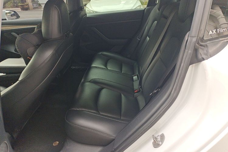 Tesla Model 3 2021 car image #17