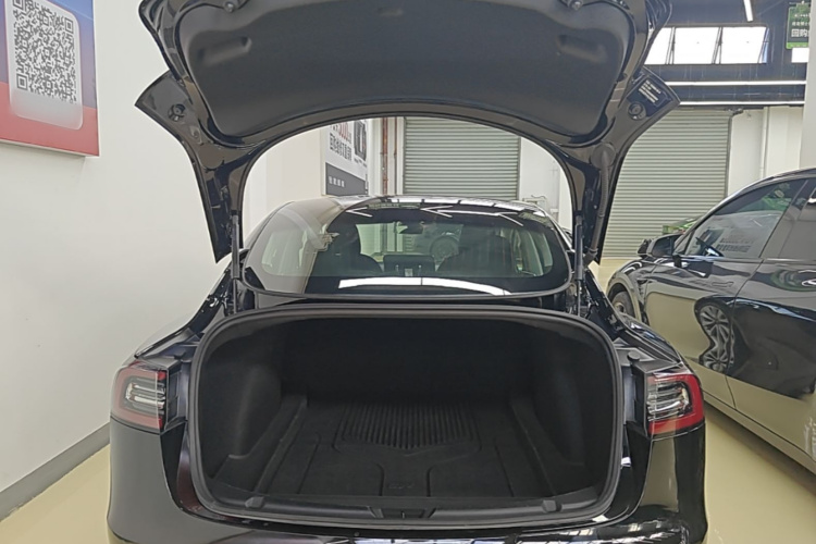 Tesla Model 3 2020 #19 Tesla Model 3 2020 immagine di auto #19