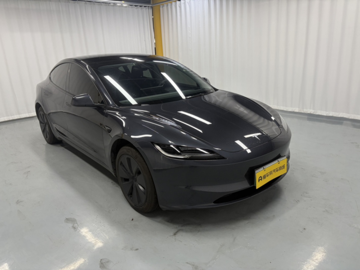 Tesla Model 3 2025 #3 Tesla Model 3 2025 car image #3