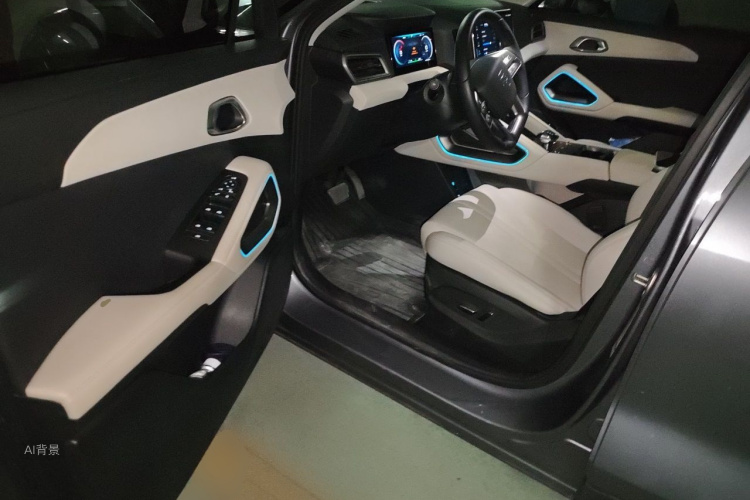 BYD YuanUP 2024 car image #18