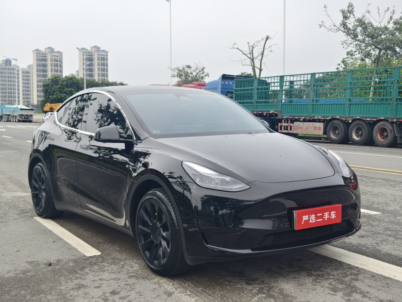 Tesla Model Y 2024 car image 