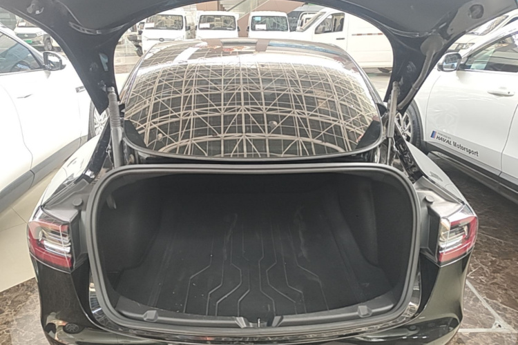 Tesla Model 3 2021 #19 Tesla Model 3 2021 car image #19