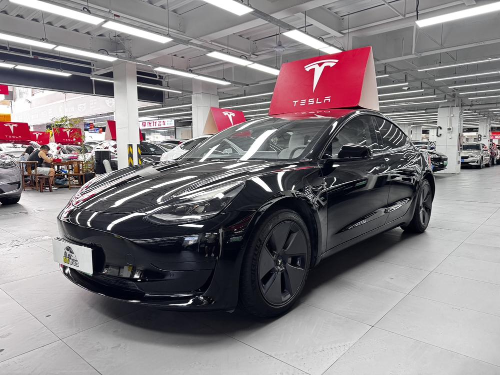 Tesla Model 3 2021 #8 Tesla Model 3 2021 car image #8