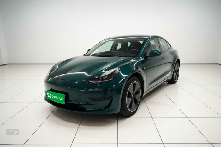 Tesla Model 3 2021 #2 Tesla Model 3 2021 car image #2