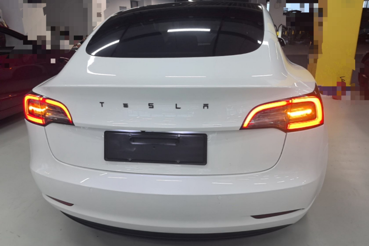 Tesla Model 3 2022 immagine di auto #6