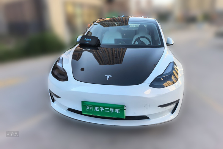 Tesla Model 3 2021 car image #3