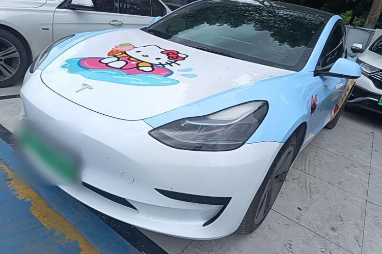 Tesla Model 3 2022 immagine di auto #2