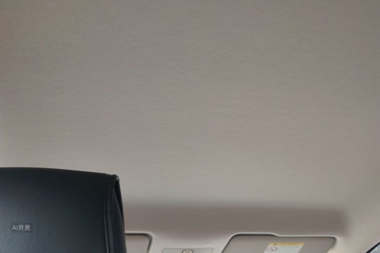 Volkswagen Santana 2017 car image #20