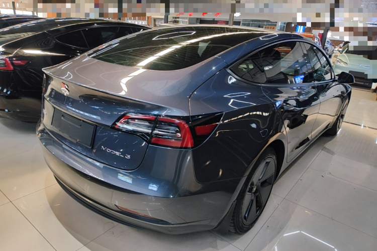 Tesla Model 3 2022 #5 Tesla Model 3 2022 car image #5