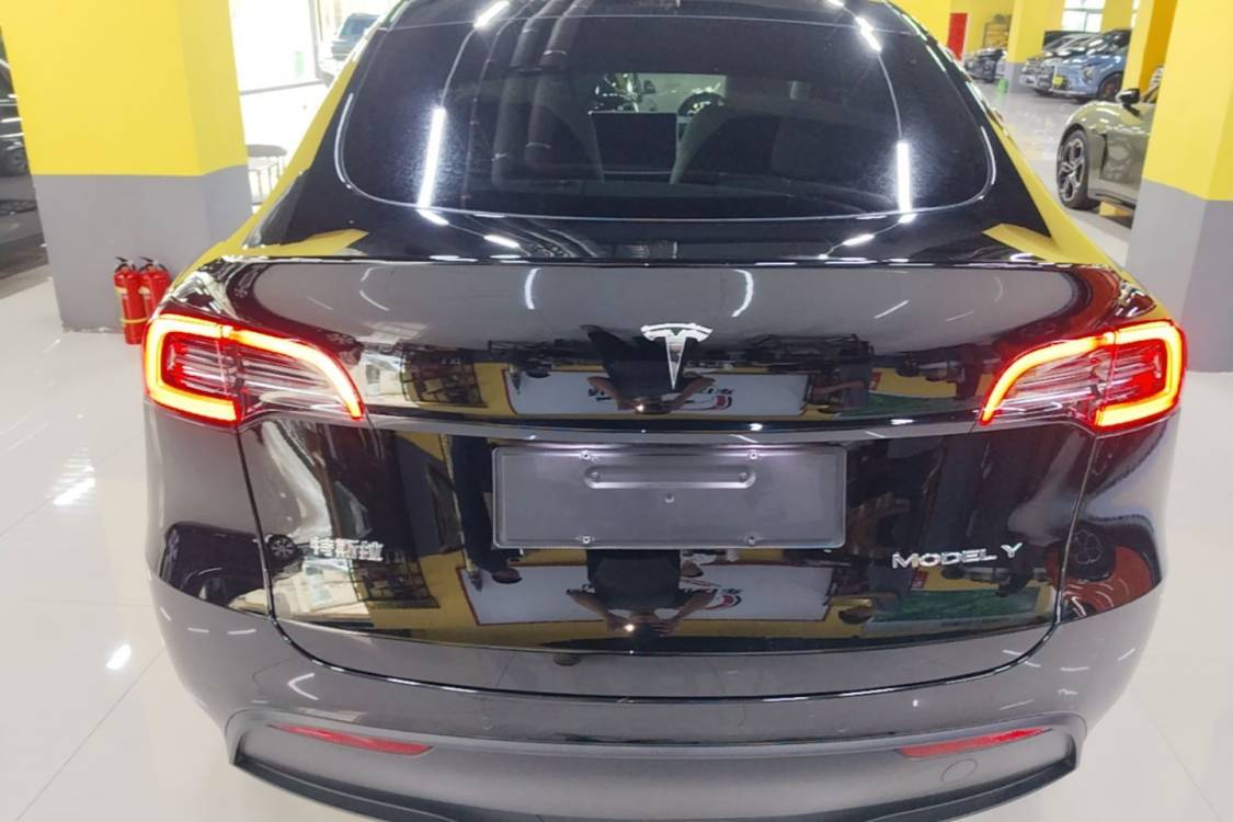 Tesla Model Y 2023 car image #6