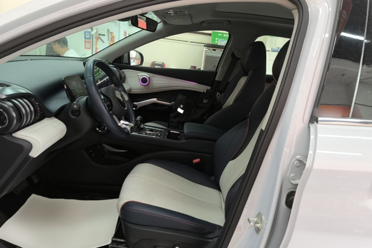 BYD Yuan Plus 2022 car image #19