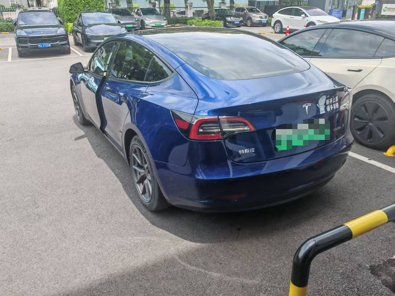 Tesla Model 3 2021 #7 Tesla Model 3 2021 car image #7