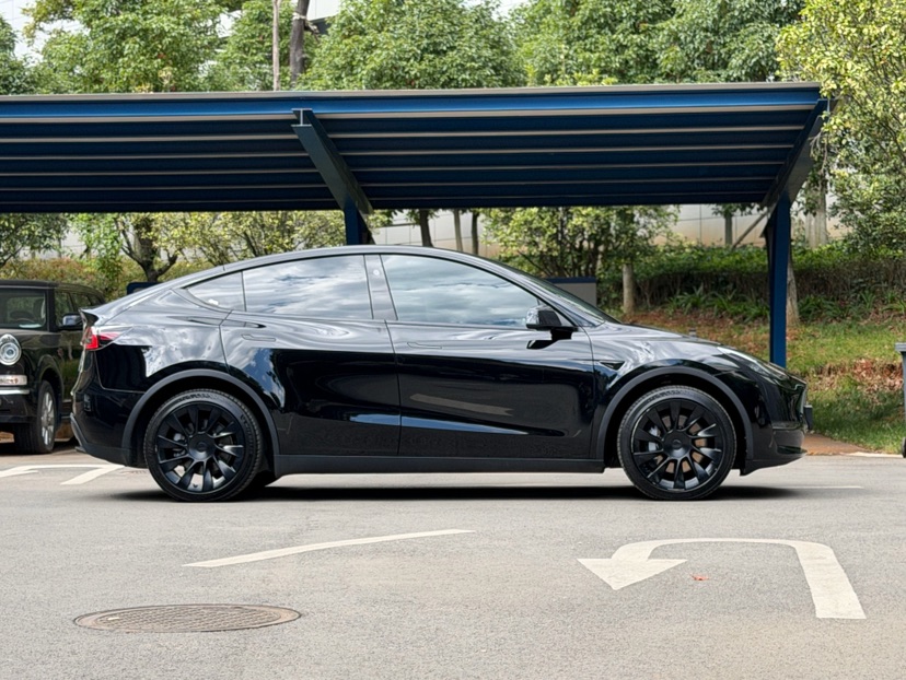 Tesla Model Y 2024 #4 Tesla Model Y 2024 car image #4