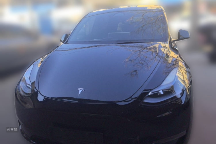 Tesla Model Y 2023 car image #3