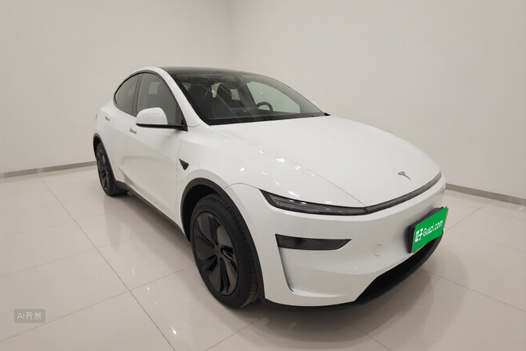 Tesla Model Y 2025 car image #4