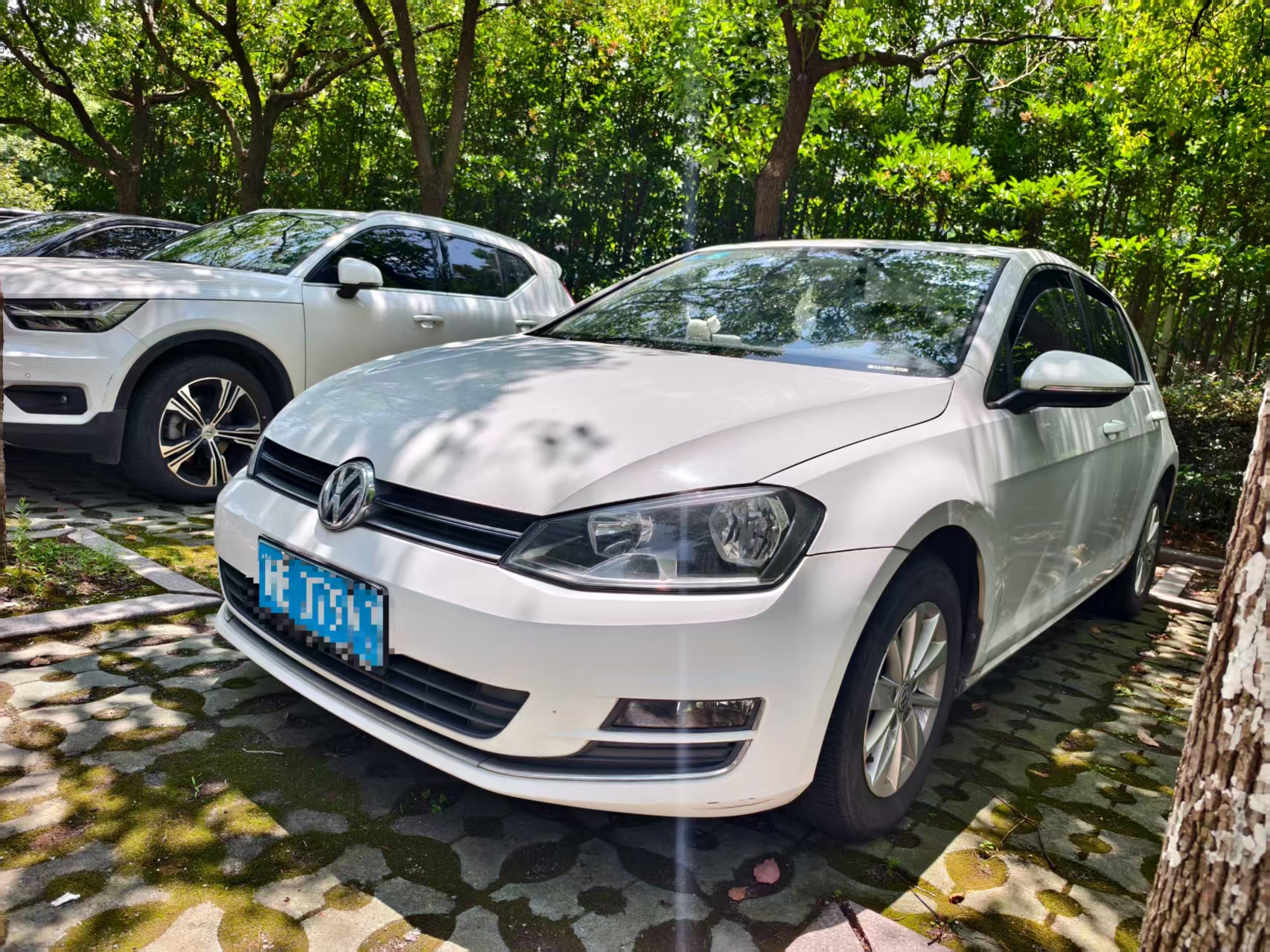 Volkswagen Golf 2016 Volkswagen Golf 2016 car image