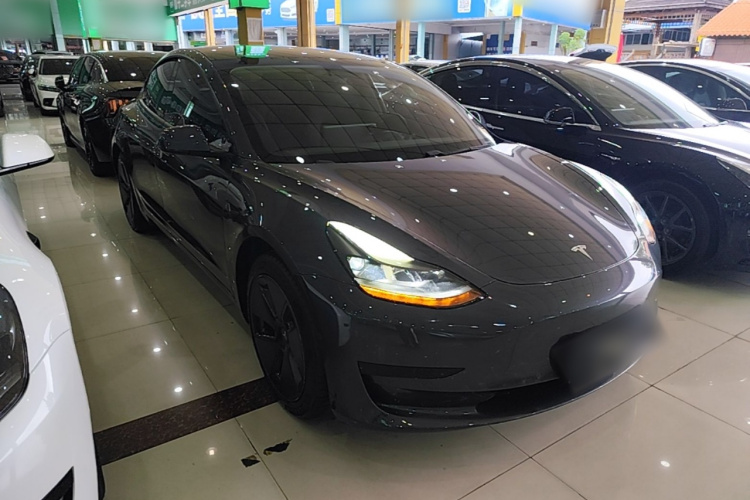 Tesla Model 3 2021 #6 Tesla Model 3 2021 car image #6