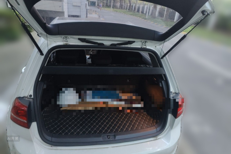 Volkswagen Golf 2015 car image #21