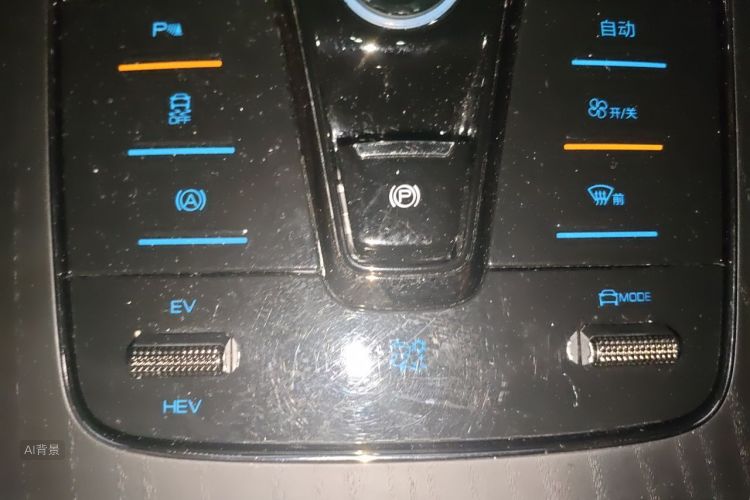 BYD Han 2022 #10 BYD Han 2022 immagine di auto #10