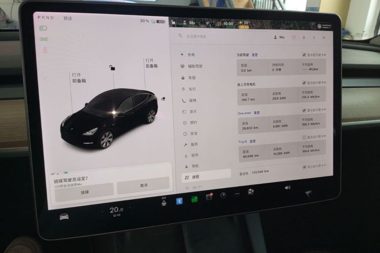 Tesla Model Y 2021 #12 Tesla Model Y 2021 car image #12