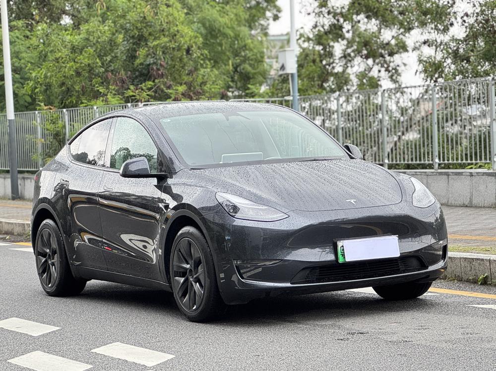 Tesla Model Y 2024 car image #3