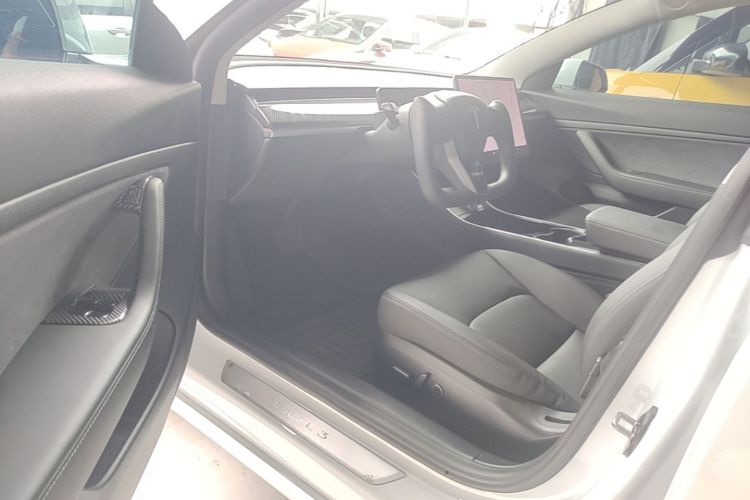 Tesla Model 3 2020 car image #9