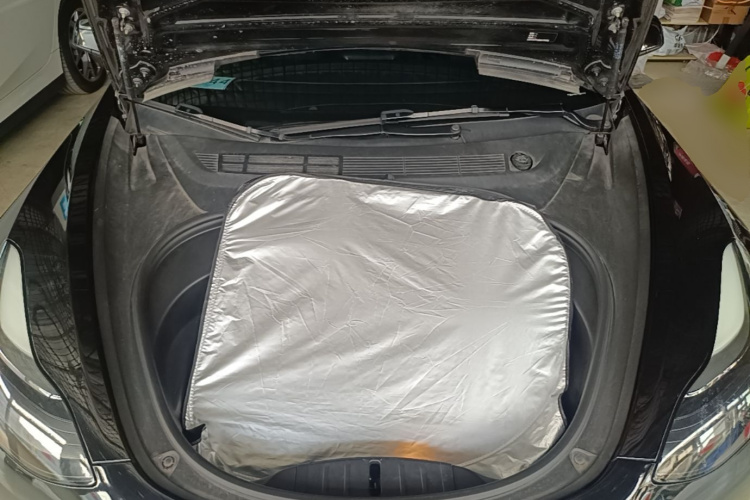 Tesla Model 3 2021 #22 Tesla Model 3 2021 immagine di auto #22