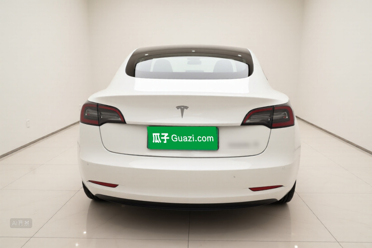 Tesla Model 3 2021 car image #6