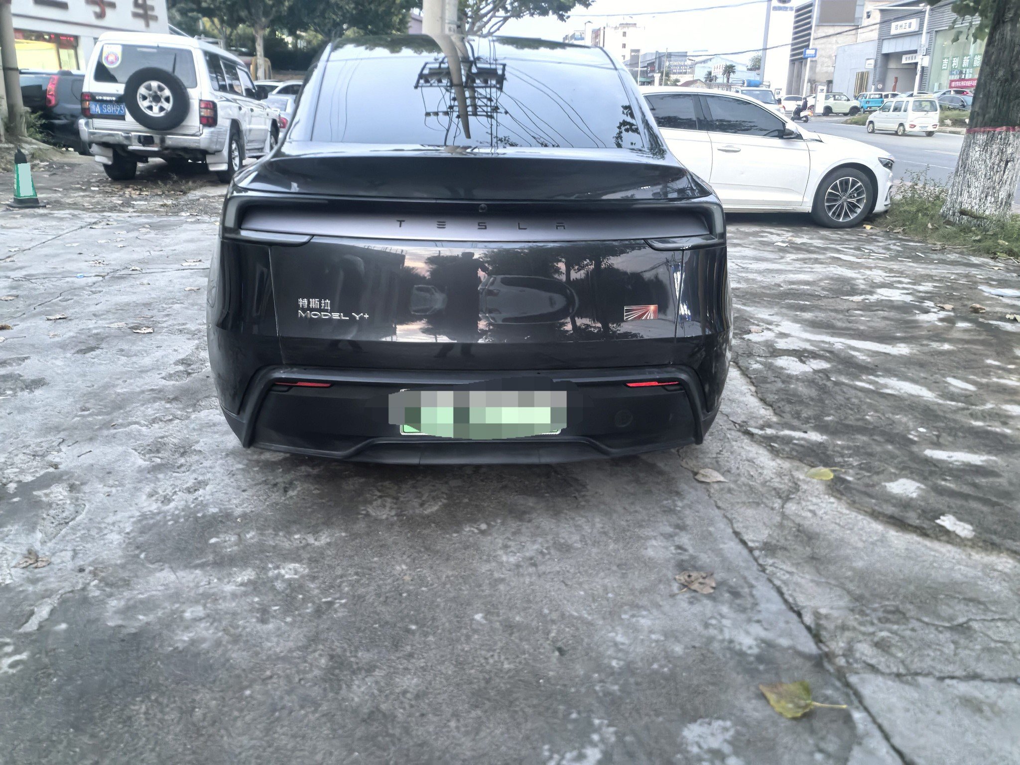 Tesla Model Y 2025 car image #4
